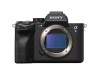 Sony Alpha A7S III Mirrorless Digital Camera ( Body Only )